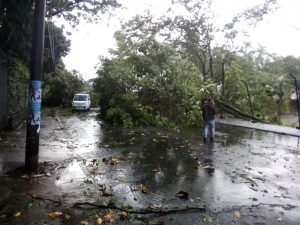 Lee más sobre el artículo 23 emergencias fueron atendidas por los organismos de socorro en Ibagué