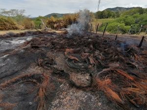 Lee más sobre el artículo Cortolima impone medida compensatoria por afectaciones de un incendio en Mariquita