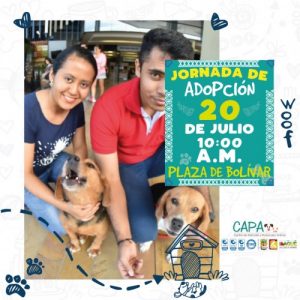 Lee más sobre el artículo ¿Quiere una mascota? Asista este sábado a la jornada de adopción animal
