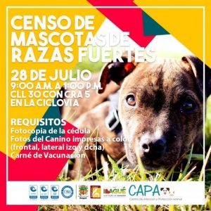 Lee más sobre el artículo Este domingo habrá jornada de adopción de mascotas y censo de animales fuertes en Ibagué