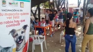Lee más sobre el artículo Esta semana habrá jornadas de vacunación para mascotas en cerca de 30 puntos de Ibagué