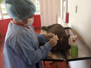 Lee más sobre el artículo Alcaldía de Ibagué y Universidad del Tolima firman convenio para atender animales en situación de vulnerabilidad