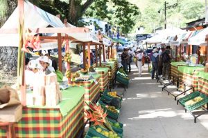 Lee más sobre el artículo Invierten cerca de $1.100 millones en el mejoramiento de centro poblado de San Bernardo