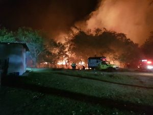 Lee más sobre el artículo Organismos de socorro atendieron incendio forestal en inmediaciones del CAPA en Ibagué