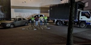 Lee más sobre el artículo 26 kilos de clorhidrato de cocaína fueron incautados entre Ibagué-Espinal