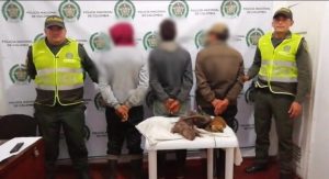 Lee más sobre el artículo Capturados en Herveo por utilizar perros para cazar animales silvestres