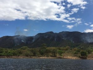Lee más sobre el artículo El Tolima declarado en alerta naranja por incendios forestales