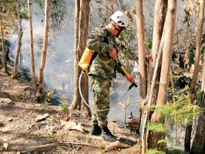 Lee más sobre el artículo Ejército Nacional ayuda a controlar incendios forestales en el departamento del Tolima