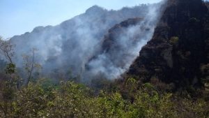 Lee más sobre el artículo Incendio forestal en el municipio de Honda fue controlado en un 80%
