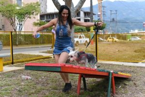 Lee más sobre el artículo En Ibagué se habilitó el primer parque para mascotas