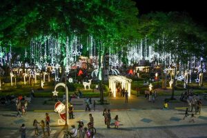 Lee más sobre el artículo Conozca los 26 puntos de alumbrado navideño de Ibagué