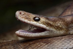 Lee más sobre el artículo Si usted va a visitar los ecosistemas del Tolima en estas vacaciones, esta información le interesa