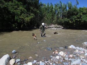 Lee más sobre el artículo Ejército Nacional  sigue brindando apoyo a las víctimas de la tragedia en La Virginia