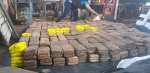 Lee más sobre el artículo Más de media tonelada de marihuana fue incautada en el barrio Las Ferias de Ibagué