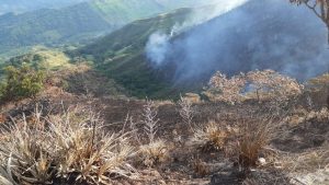 Lee más sobre el artículo Debido a las altas temperaturas y al desabastecimiento de agua piden elevar la alerta de riesgo en el Tolima
