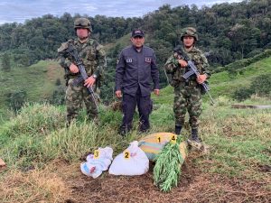 Lee más sobre el artículo Fiscalía y Ejército incautaron de 200 kilos de marihuana y lograron la erradicación de una hectárea de cultivo ilícito en Planadas