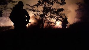 Lee más sobre el artículo Organismos de socorro han atendido más de 40 incendios forestales en Ibagué los últimos días