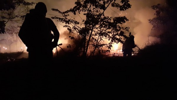 Lee más sobre el artículo Organismos de socorro han atendido más de 40 incendios forestales en Ibagué los últimos días