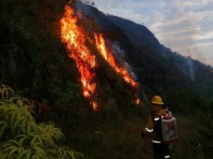 Lee más sobre el artículo Más de 130 incendios forestales se han atendido en Ibagué en lo que va corrido del 2020