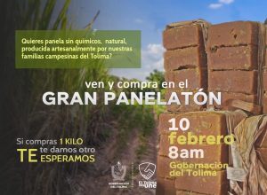 Lee más sobre el artículo Este lunes 10 de febrero disfrute de la  ”Gran Panelatón” en la Gobernación del Tolima