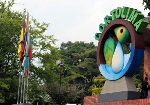 Lee más sobre el artículo Desde este martes Cortolima no atenderá público de manera presencial