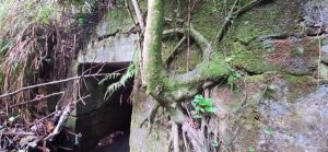 Lee más sobre el artículo Paso entre Dolores y Alpujarra fue cerrado  hasta nueva orden por daño en box culvert