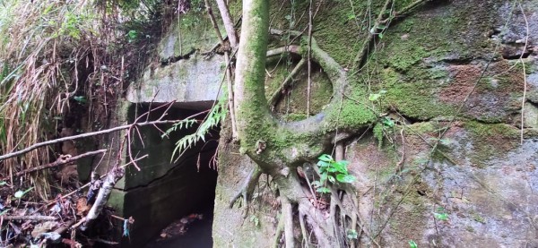 Lee más sobre el artículo Paso entre Dolores y Alpujarra fue cerrado  hasta nueva orden por daño en box culvert