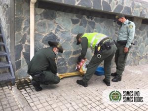 Lee más sobre el artículo Policías instalan comedores para perros y gatos de Melgar que se encuentran en condición de calle