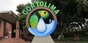 Lee más sobre el artículo Funcionarios de Cortolima donan parte de su salario para comprar mercados a población vulnerable de Ibagué