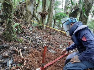 Lee más sobre el artículo En el 2020, el Ejército Nacional ha despejado de minas cerca de 50.000 metros cuadrados en el Tolima