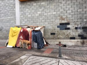 Lee más sobre el artículo Secretaría de Salud de Ibagué descarta caso de coronavirus en habitante de calle
