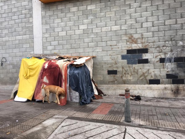Lee más sobre el artículo Secretaría de Salud de Ibagué descarta caso de coronavirus en habitante de calle