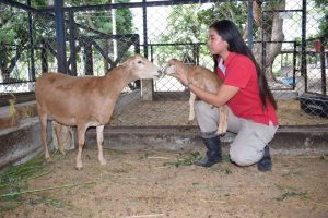 Lee más sobre el artículo El Centro Agropecuario La Granja del Sena Tolima no se descuida en el confinamiento por coronavirus