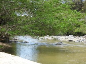 Lee más sobre el artículo Cortolima otorga concesión de aguas a cinco acueductos comunitarios