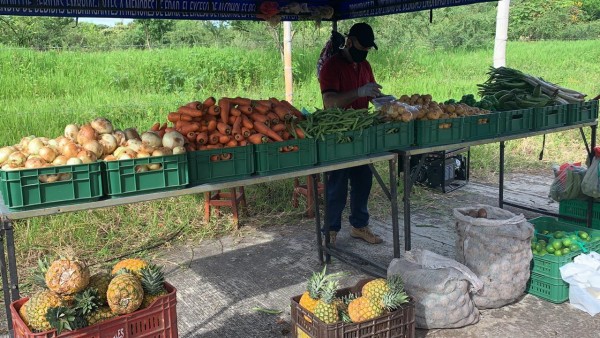 Lee más sobre el artículo En Ibagué se pusieron de moda los mercados campesinos virtuales