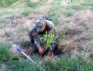 Lee más sobre el artículo Soldados del Ejército Nacional realizaron jornada de reforestación en el norte del Tolima