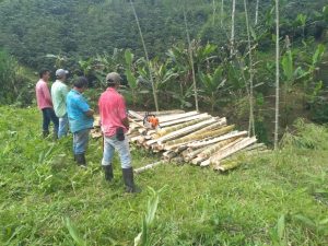 Lee más sobre el artículo Capturados por aprovechamiento ilícito de recursos naturales en Palocabildo