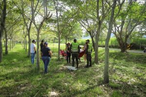 Lee más sobre el artículo Autoridades verificaron cumplimiento de medidas de autocuidado durante puente festivo en Ibagué