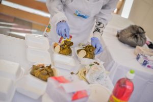 Lee más sobre el artículo ¡Se cumplió la meta! En Ibagué más de 15 mil unidades se vendieron en el Día del Tamal