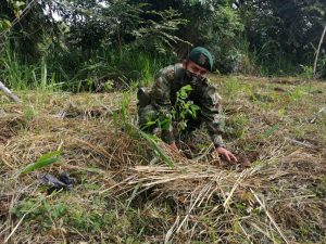 Lee más sobre el artículo En el Día Mundial del Medio Ambiente, 3 mil 300 plantas se sembraron en Mariquita y Prado