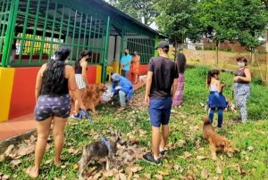 Lee más sobre el artículo Conozca cómo acceder a las jornadas de desparasitación y censo animal del CAPA en Ibagué