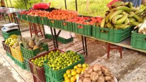 Lee más sobre el artículo Chaparral tendrá Mercados Campesinos Virtuales el próximo 17 de julio