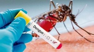 Lee más sobre el artículo 5.628 casos de dengue se han registrado en el Tolima durante el 2020