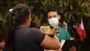 Lee más sobre el artículo Cortolima rescata un perro de monte en zona rural del Líbano