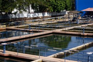 Lee más sobre el artículo Por mantenimiento en el sistema, este domingo no habrá servicio de agua en Ibagué