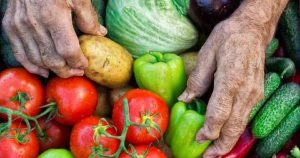 Lee más sobre el artículo Campesinos ibaguereños podrán inscribirse para el incentivo al transporte de alimentos perecederos