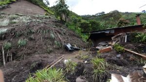 Lee más sobre el artículo Organismos de socorro atendieron emergencias por lluvias en zona rural de Ibagué