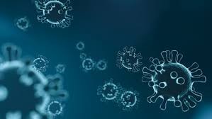 Lee más sobre el artículo Nueve municipios del departamento registran los nuevos casos de coronavirus