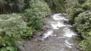 Lee más sobre el artículo Inicia limpieza y recuperación de fuentes hídricas en Ibagué