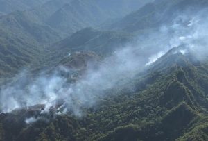 Lee más sobre el artículo Cerca de 60 hectáreas de vegetación se vieron afectadas por incendios forestales en el Tolima